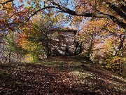 21 Nella splendida faggeta in smagliante  veste autunnale 'Ol rocolu'